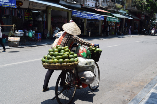 Female fruit seller in Hanoi